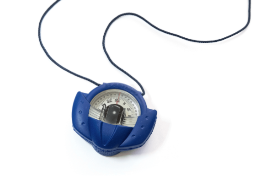 Handheld magnetic compass