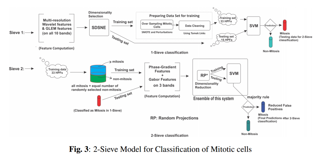 Overall 2-SimDoM Scheme
